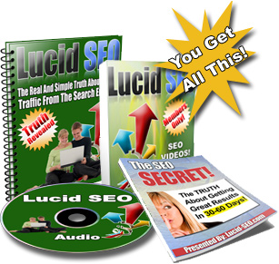 Search engine optimization ontario
