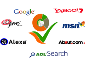 Search engine optimization software reviews